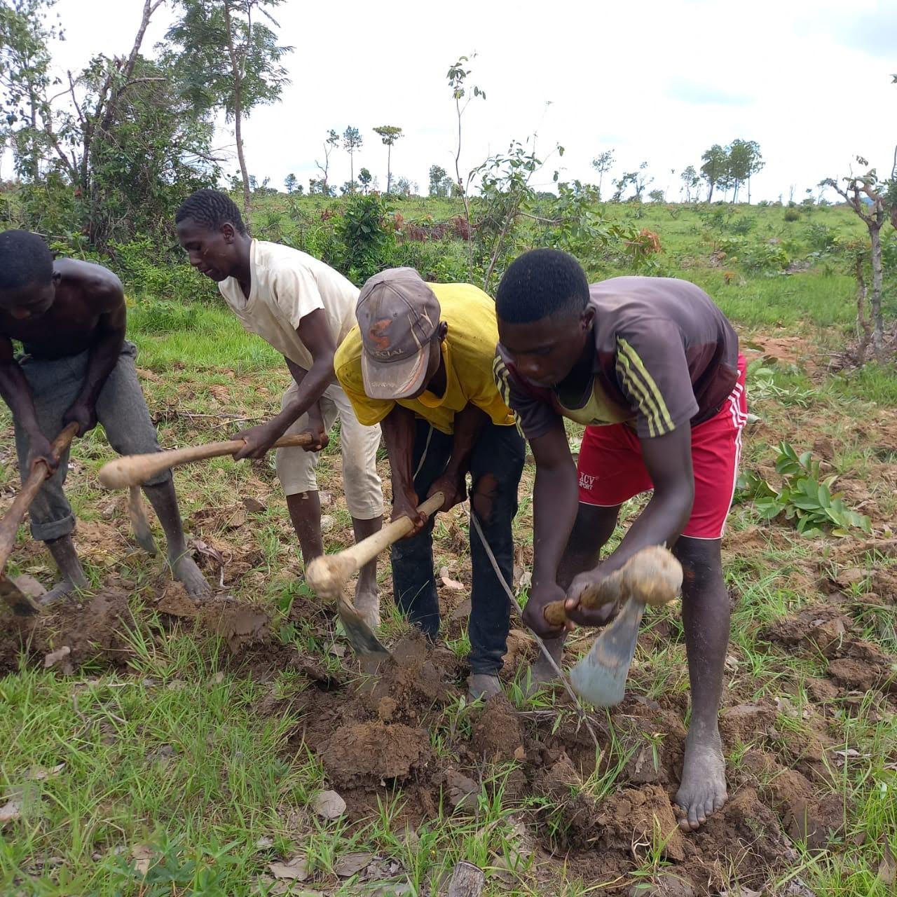 Young people working together in a field