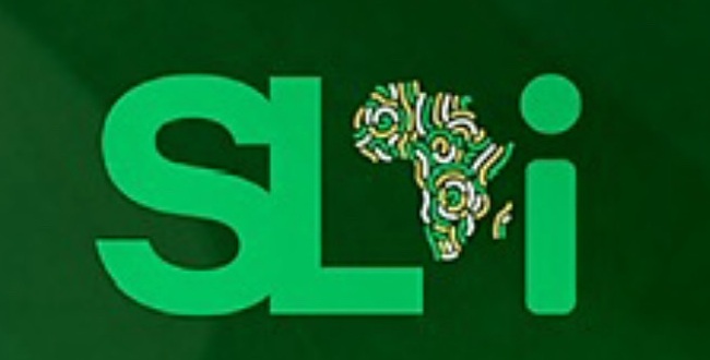 See and Lead Africa Initiative